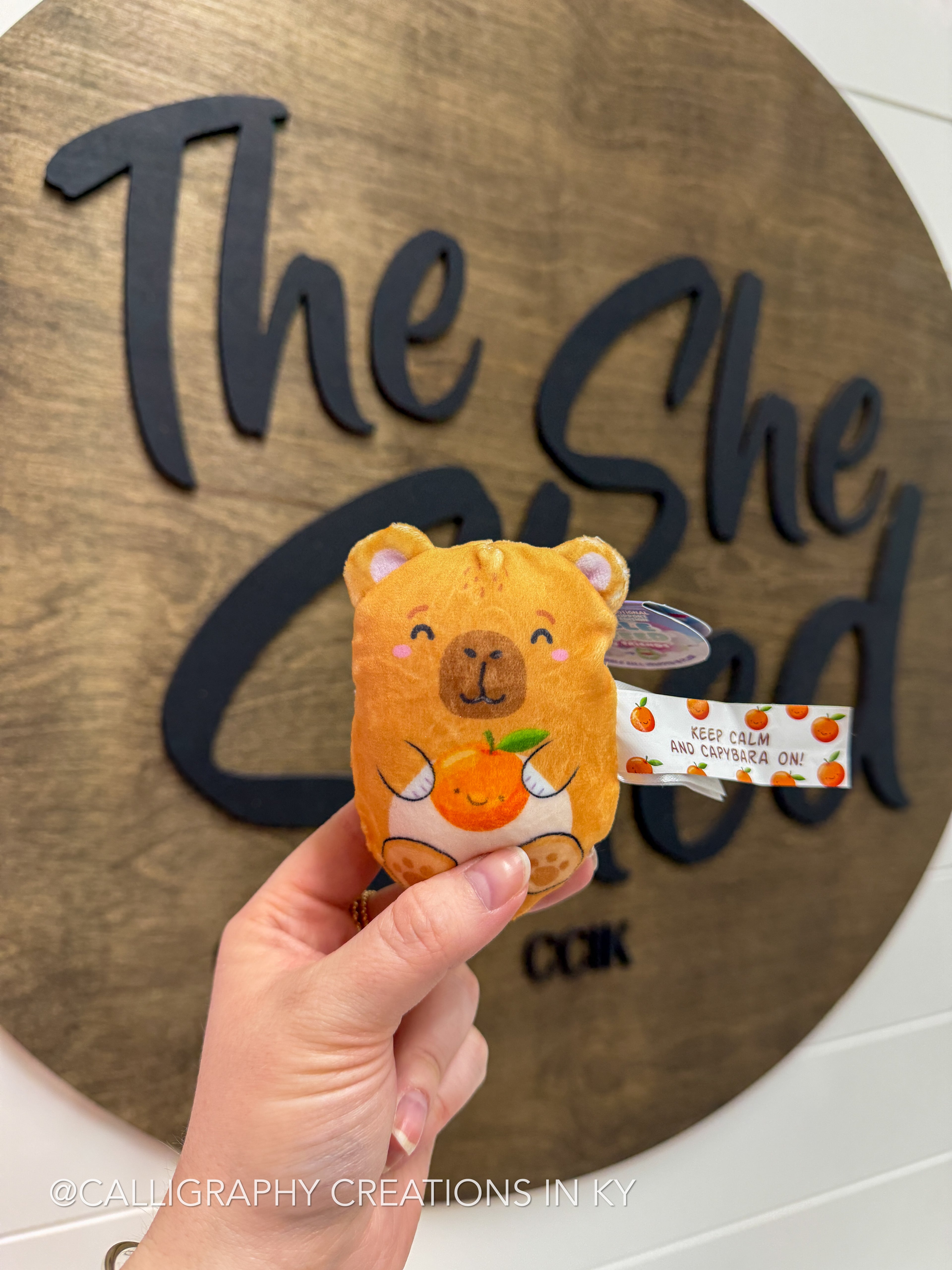 Capybara • Bubble Squishy Friends