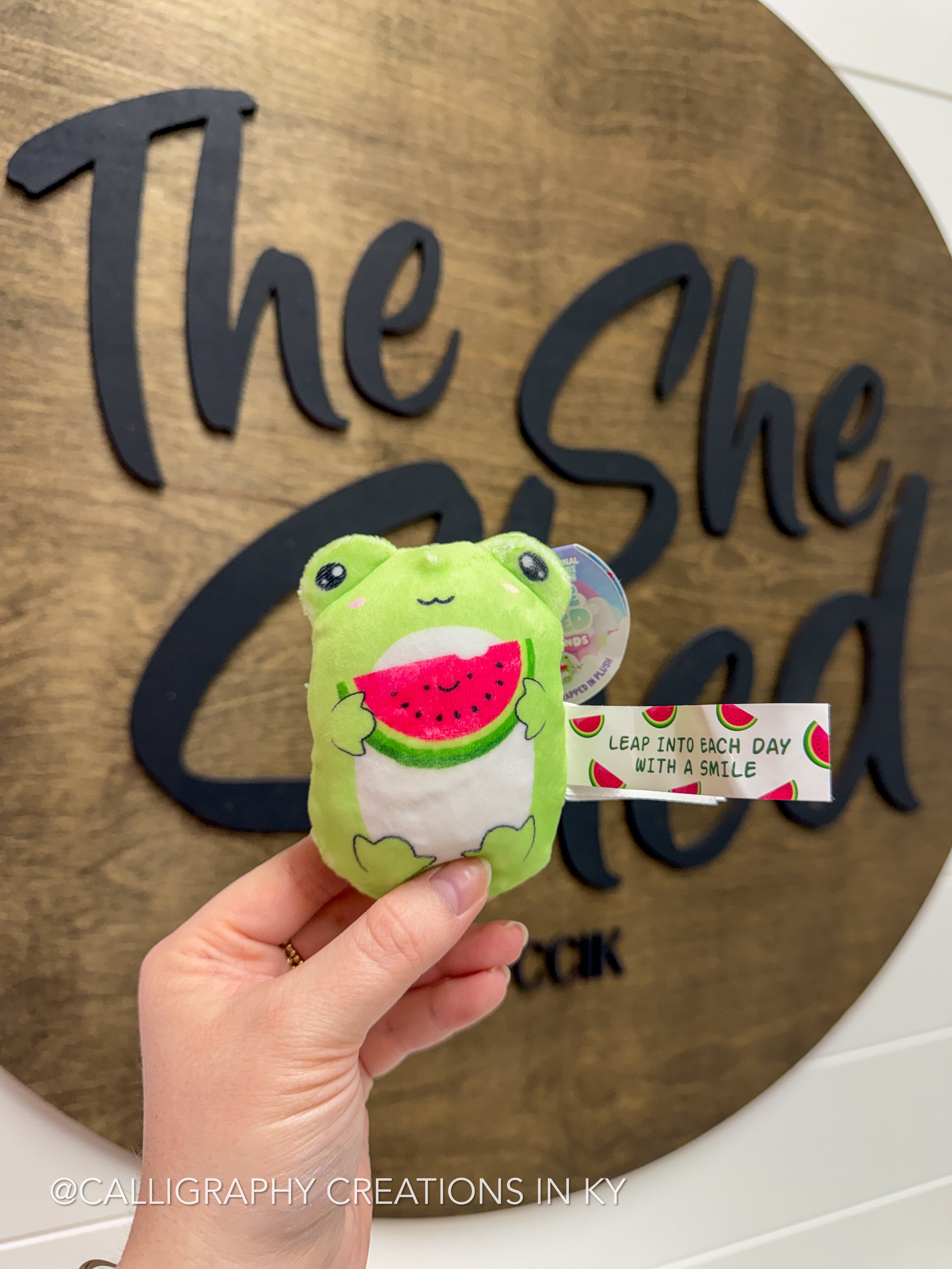 Frog • Bubble Squishy Friends