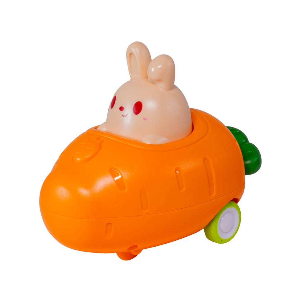 Push n' Go Bunny Toy