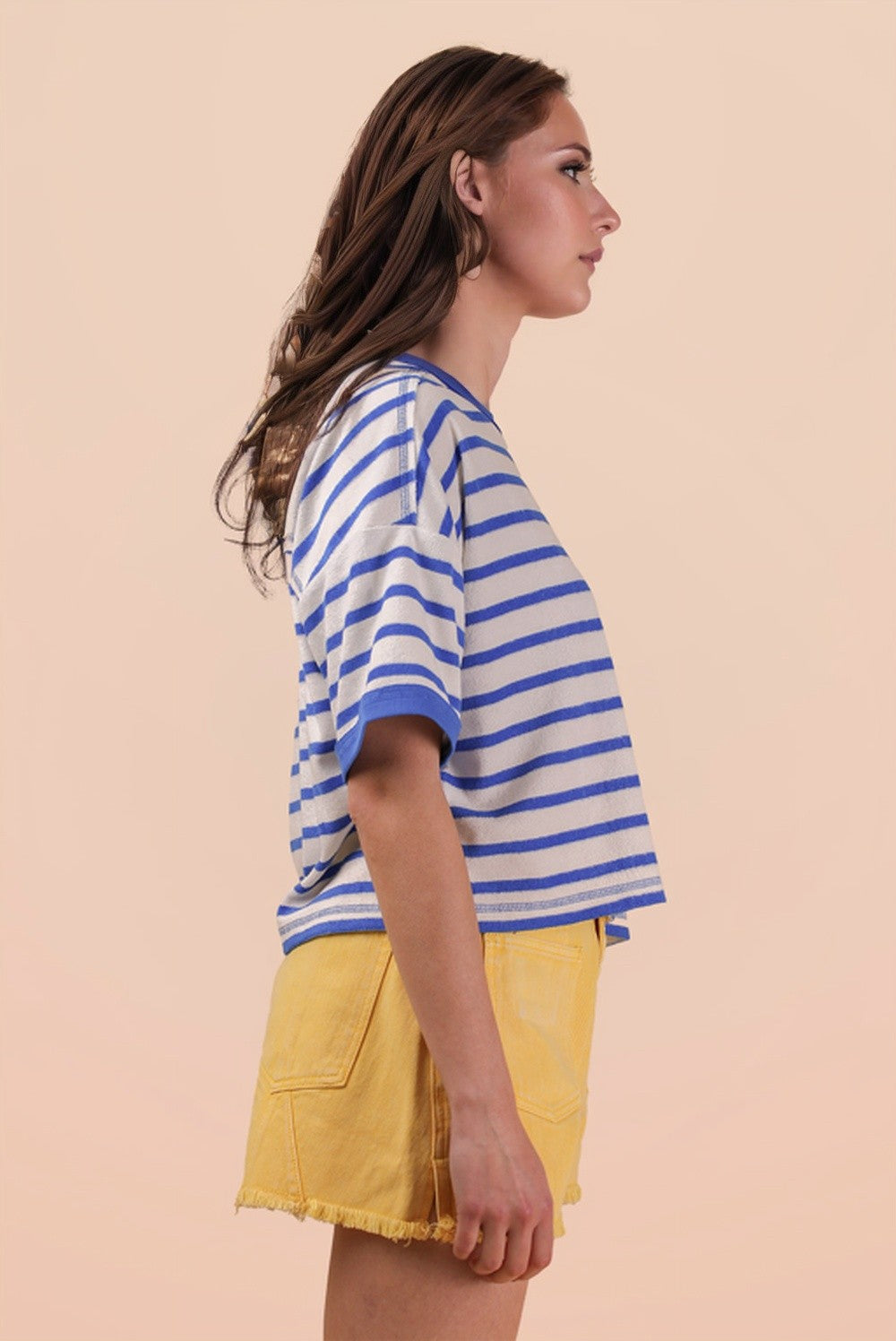 Blue Stripe Crop Top