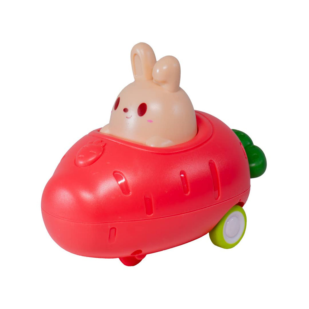 Push n' Go Bunny Toy