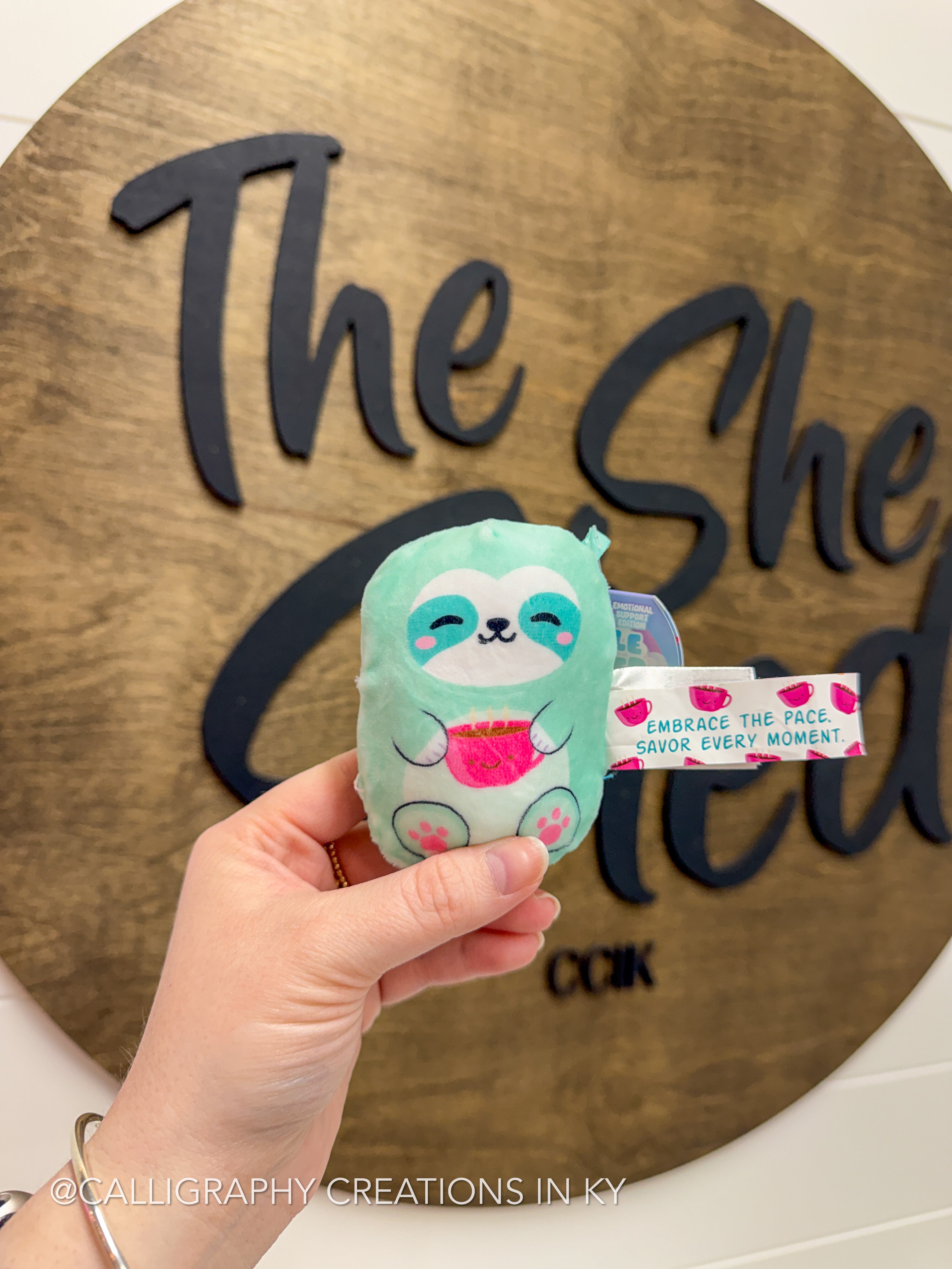 Sloth • Bubble Squishy Friends