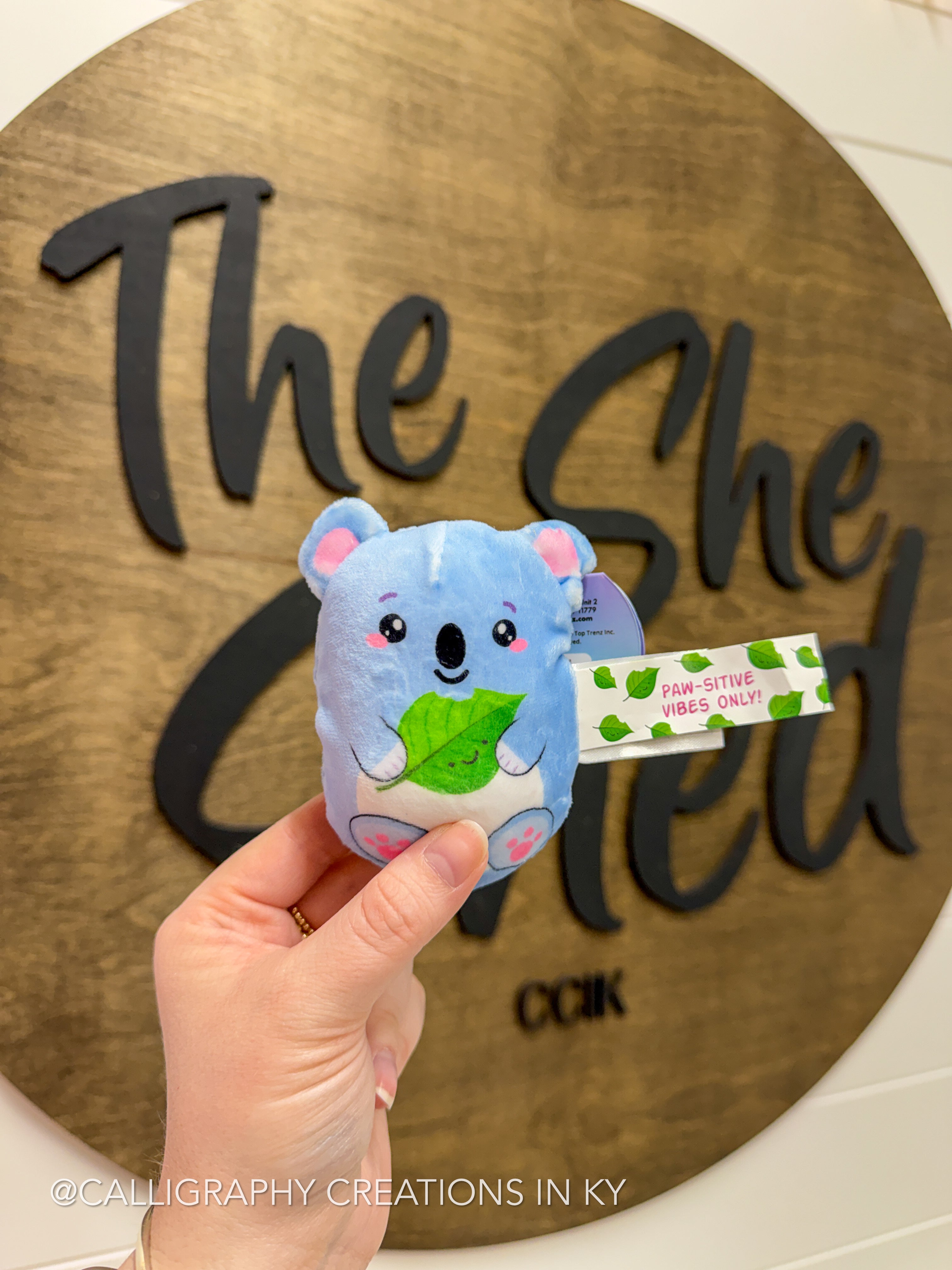 Koala • Bubble Squishy Friends