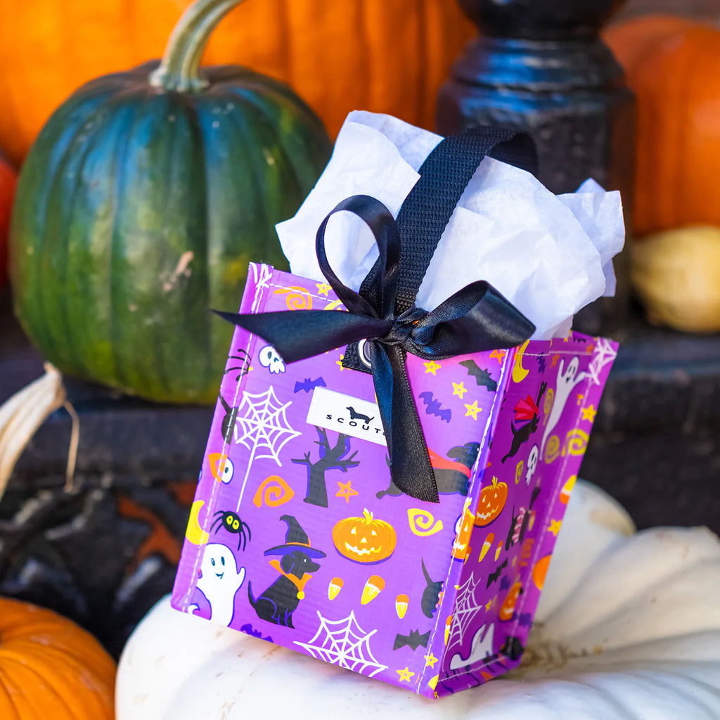 SCOUT Mini Package | Howl O Weenie (Gift Bag Square X-Small)