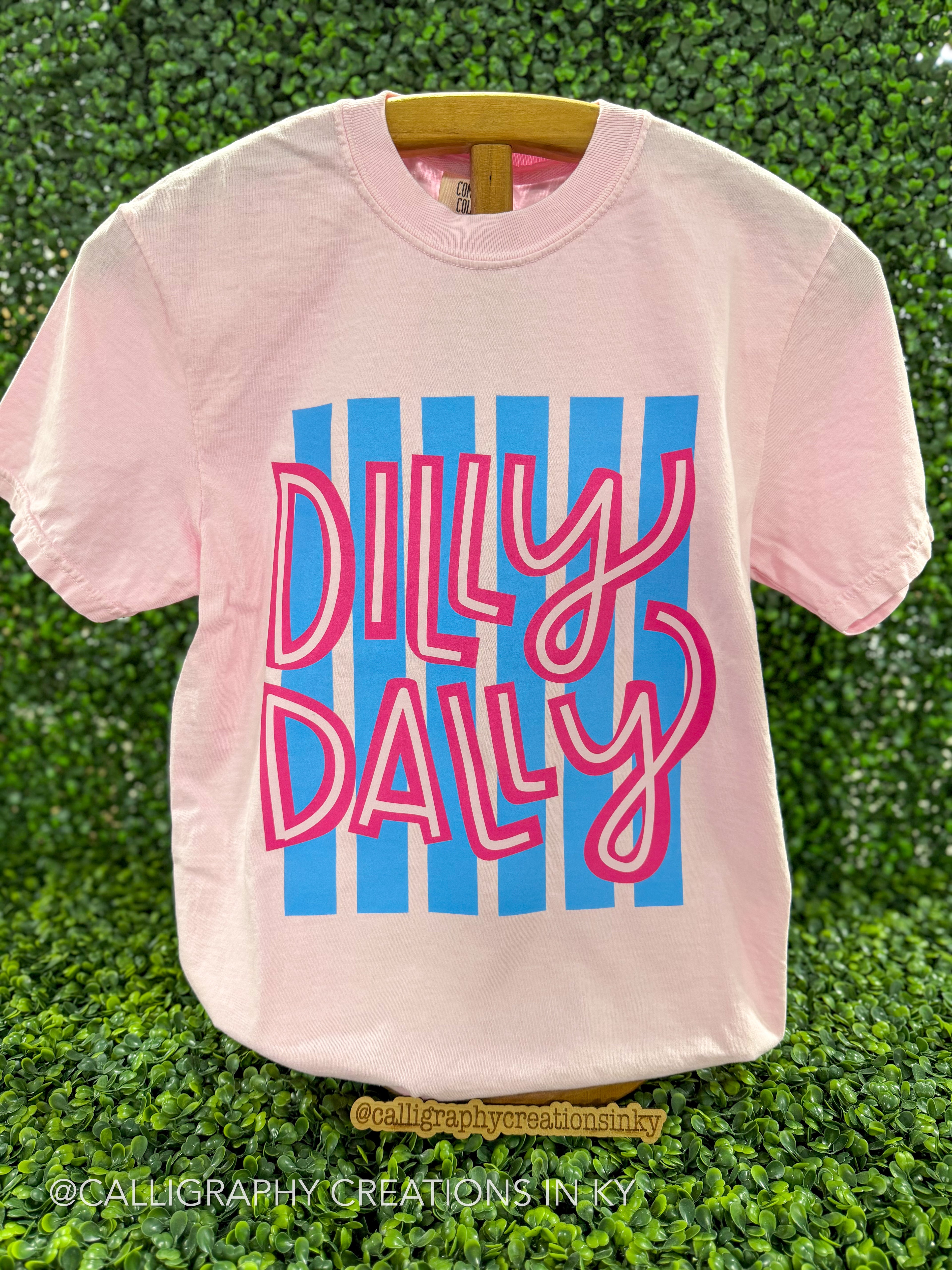 A light pink short-sleeve t-shirt with a graphic print reading 'DILLY DALLY' in pink outlined lettering over vertical blue stripes, displayed on a wooden hanger against a green leafy background.