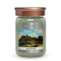 Sage Serenity Large Candleberry Candle