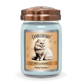 Pretty Purrfect Large Candleberry Candle