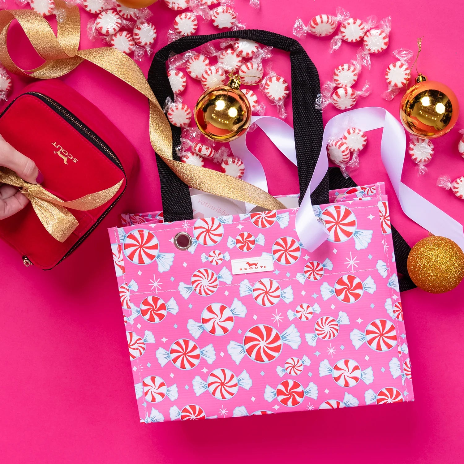 SCOUT Tiny Package | Candyland (Gift Bag X Small)