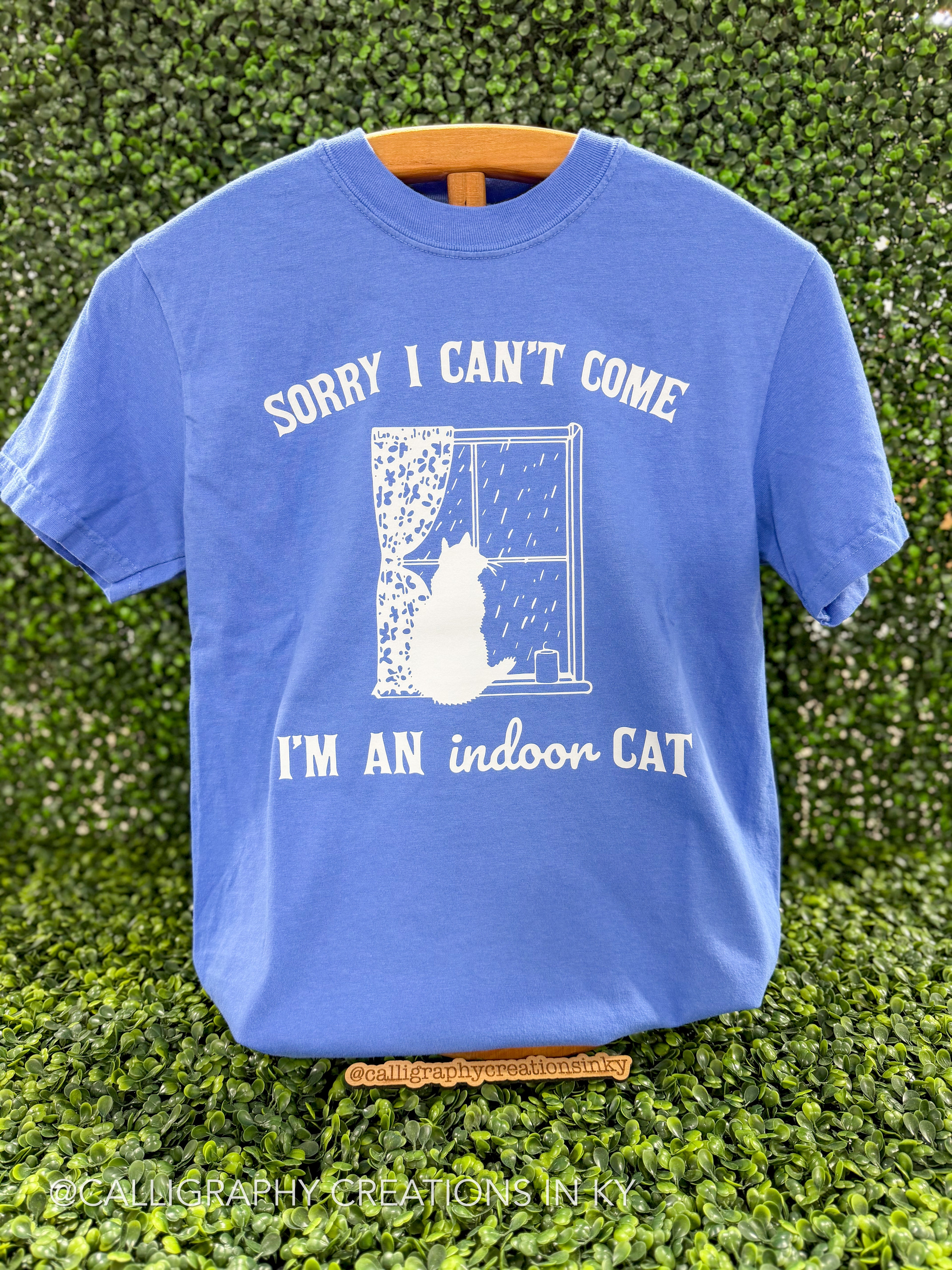A blue short-sleeve graphic T-shirt hanging on a wooden hanger against a green hedge background. The shirt features a white graphic of a cat looking out a window with rain, accompanied by the text 'SORRY I CAN'T COME I'M AN indoor CAT'.