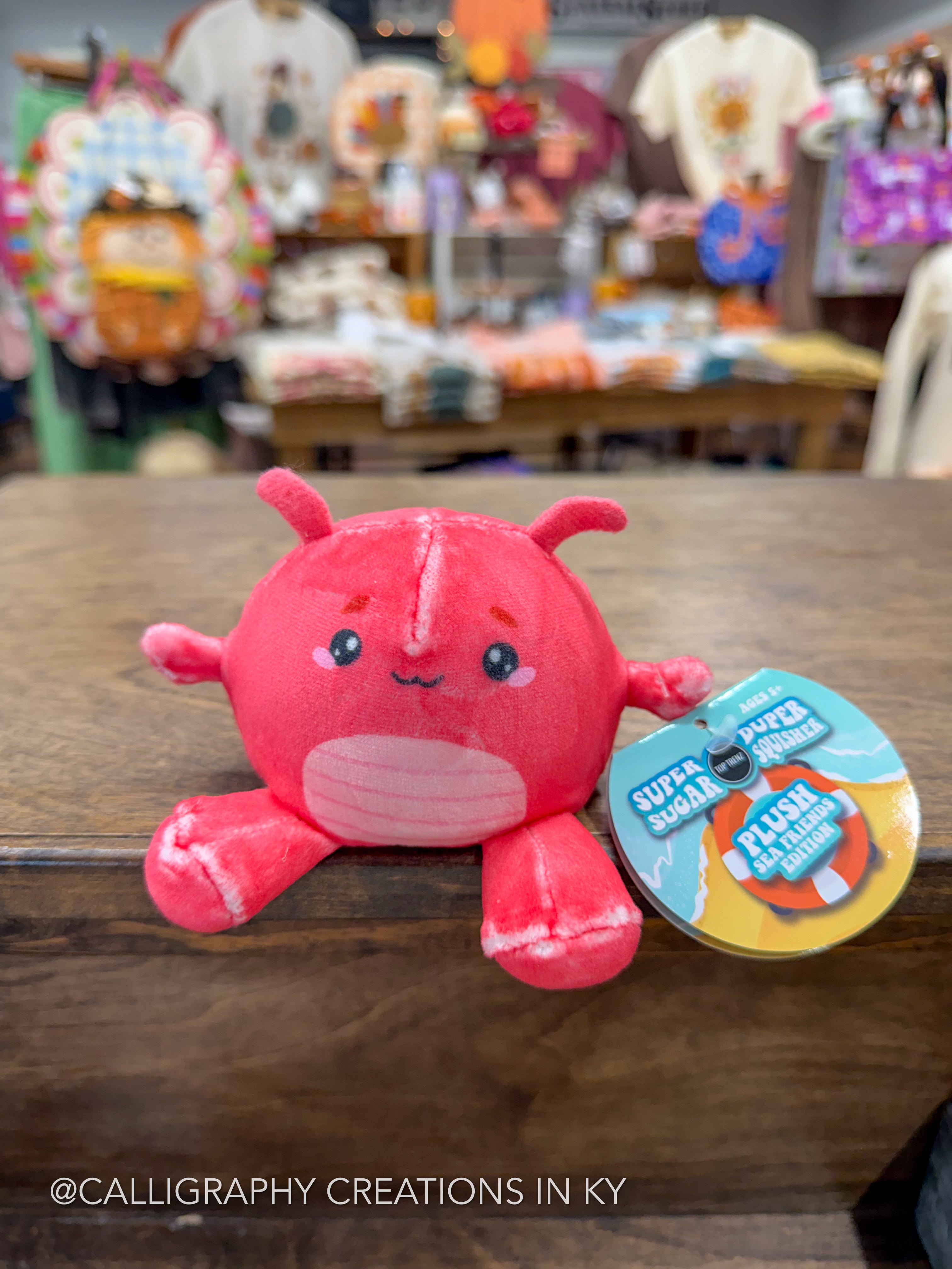 A red plush toy with a white belly and blue eyes sits on a wooden table in a store, next to a round tag that reads 'Super Smart Plushie Sampler.' The background is a blurred retail shop interior with shelves and colorful items.