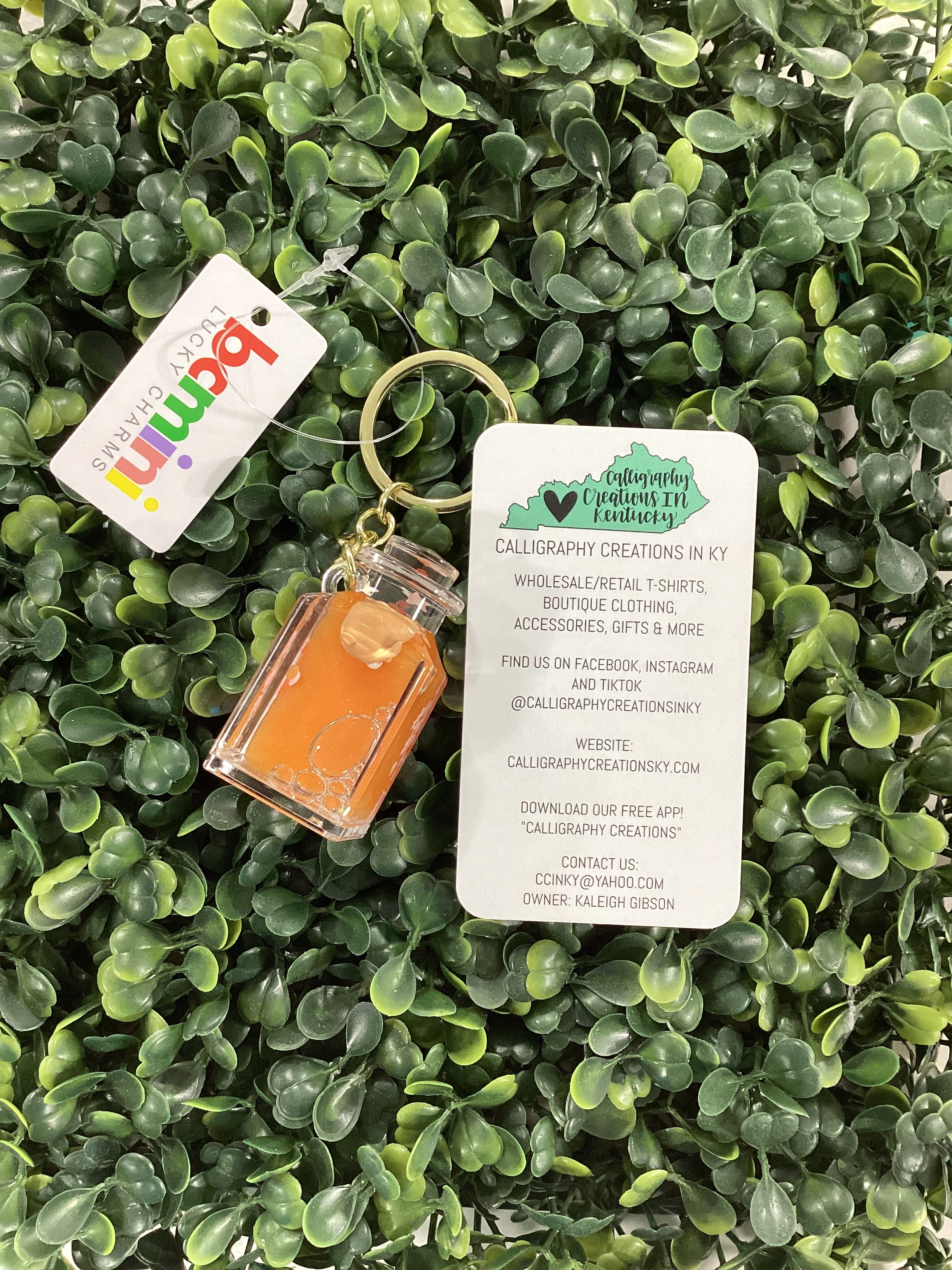 Keychain with a small orange cat on a green leafy background