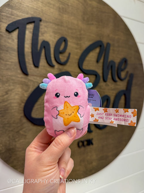 Pink plus toy with a star design held in front of a wooden sign with 'The She Shed' on it.