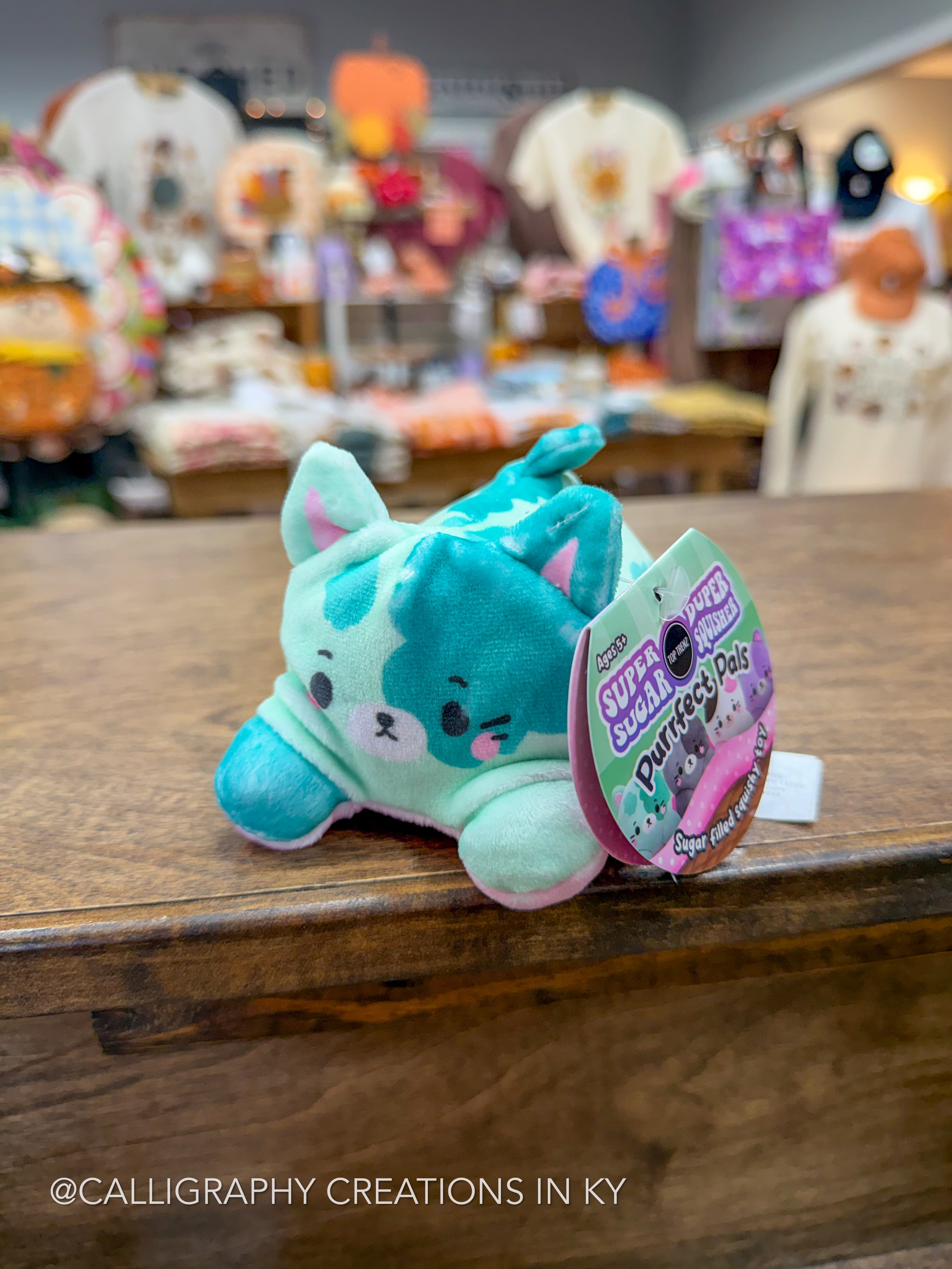 A small plush toy cat lying on a wooden counter in a retail store, with a hangtag attached. The plush is mint green and teal with pink accents.