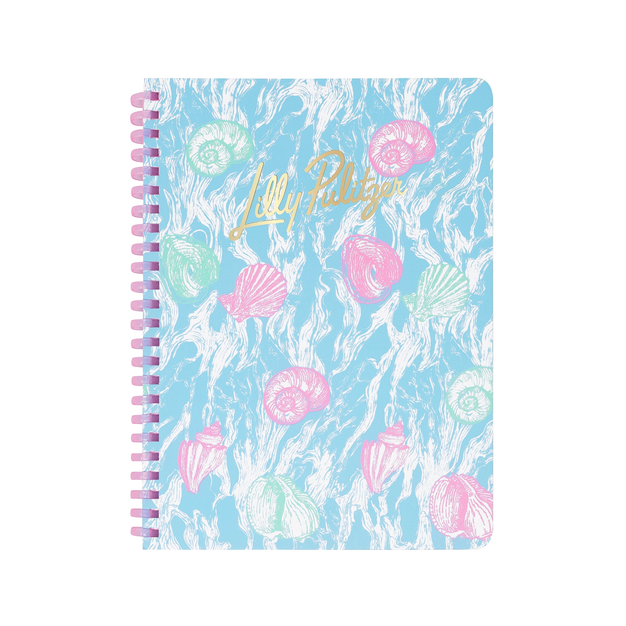 Blue notebook with pink and aqua shells and pink spiral on a white background.