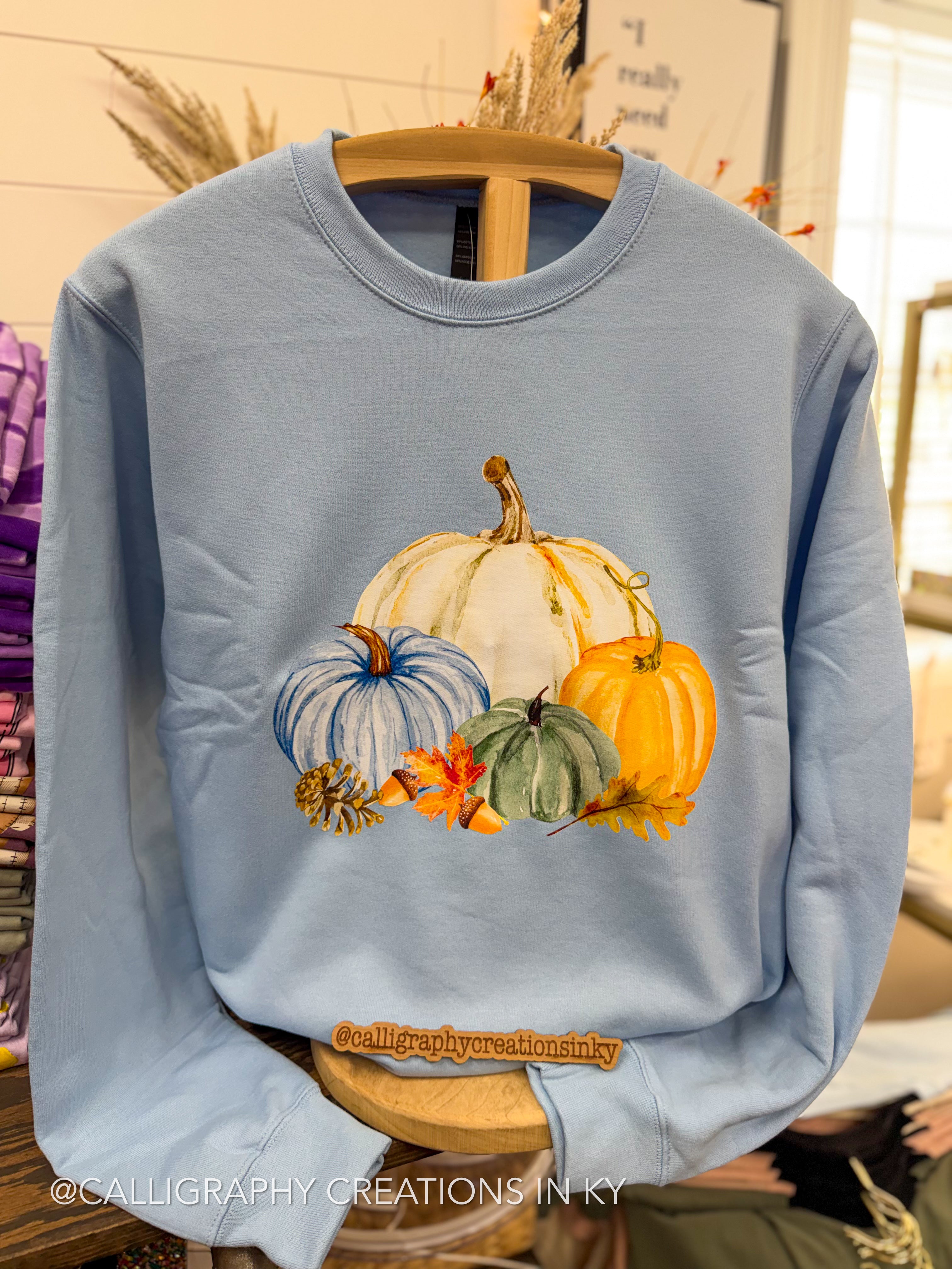 A light blue crewneck sweatshirt featuring a colorful watercolor graphic of pumpkins and gourds on the front, displayed on a wooden hanger in a retail setting.