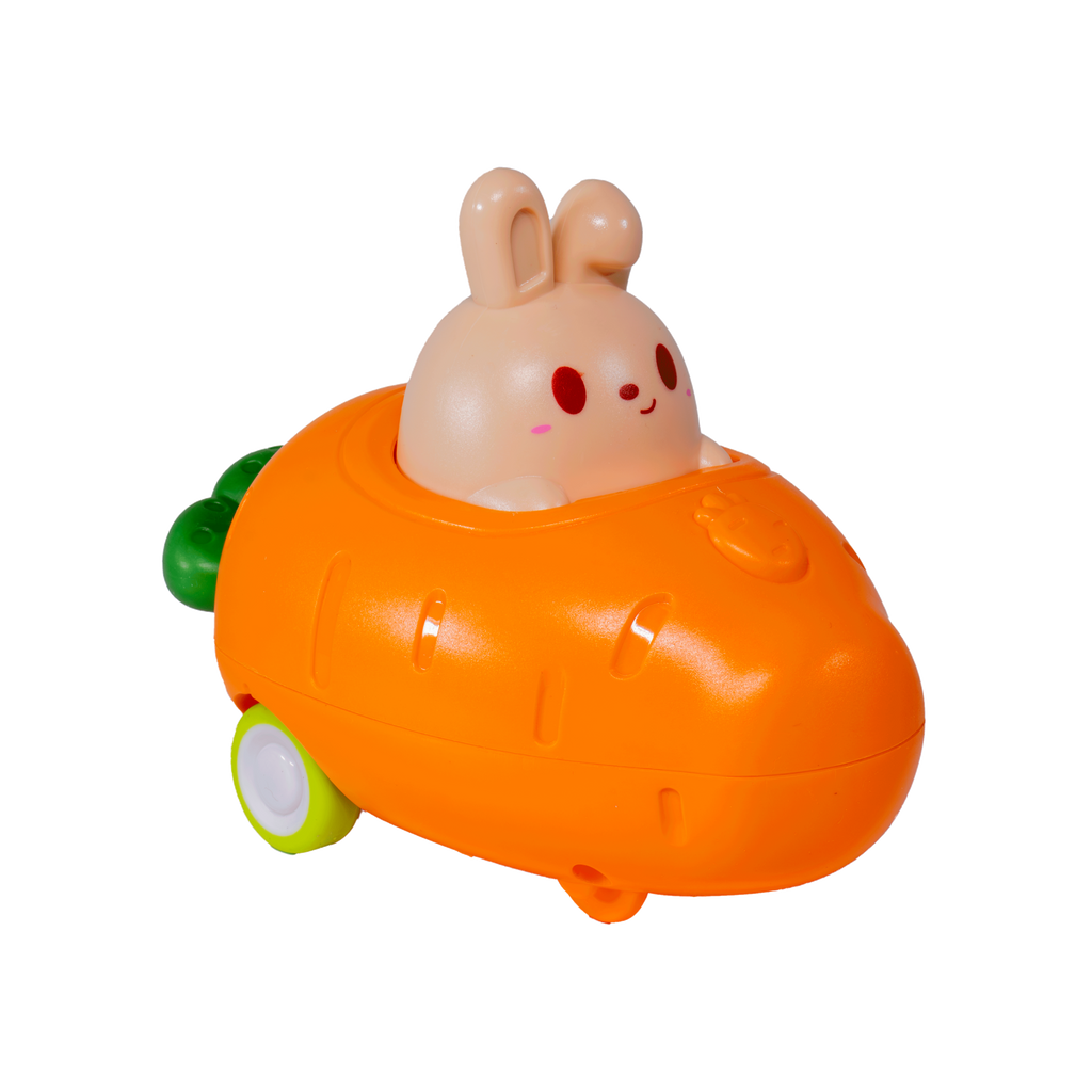 Push n' Go Bunny Toy