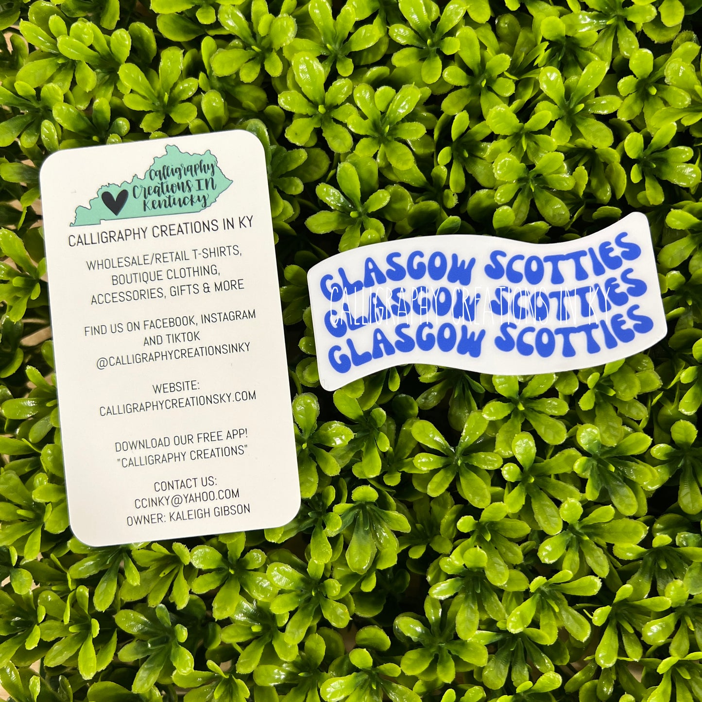 Groovy Glasgow Scotties Sticker