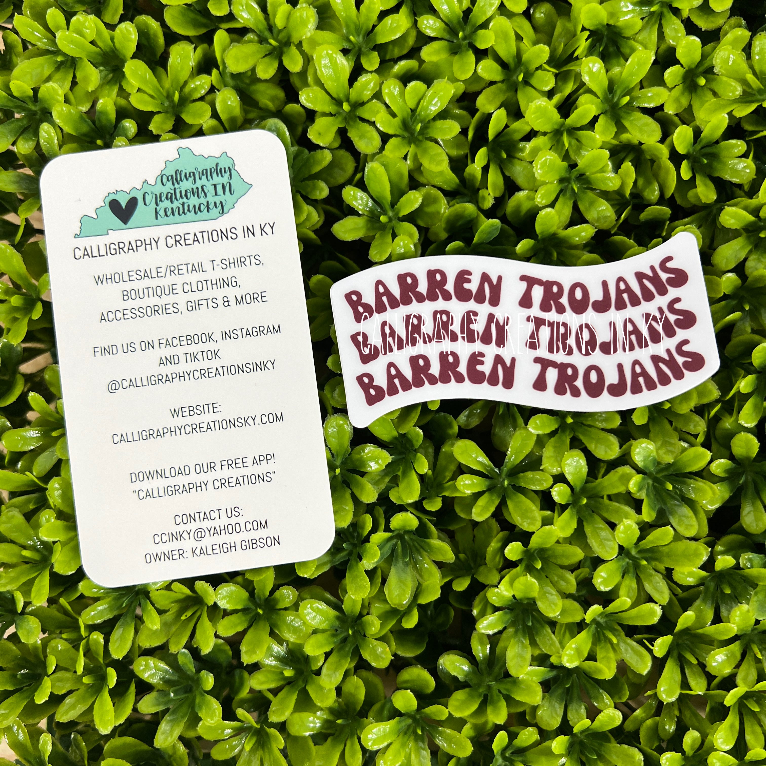 Groovy Barren Trojans Sticker