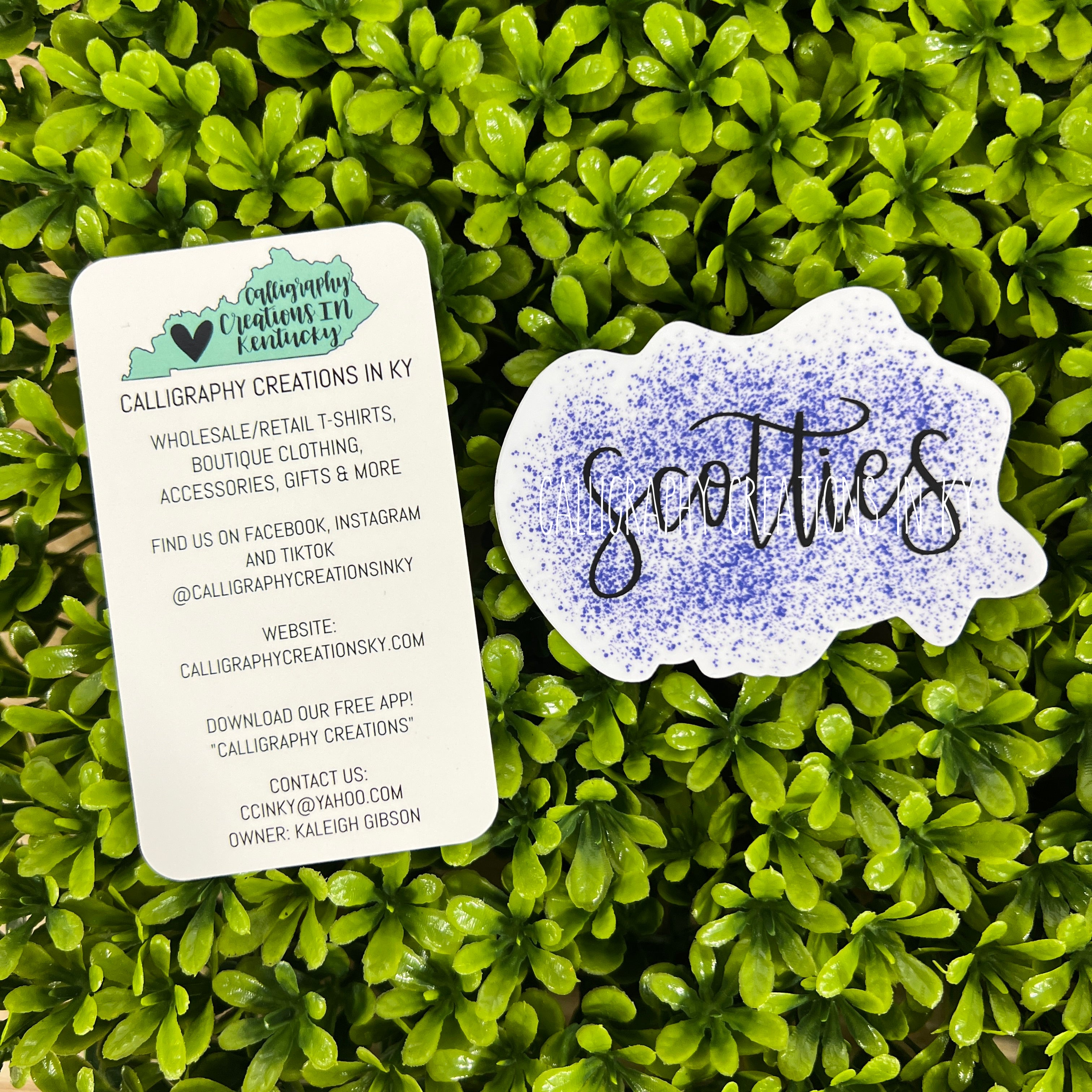 Scotties Splatter Sticker