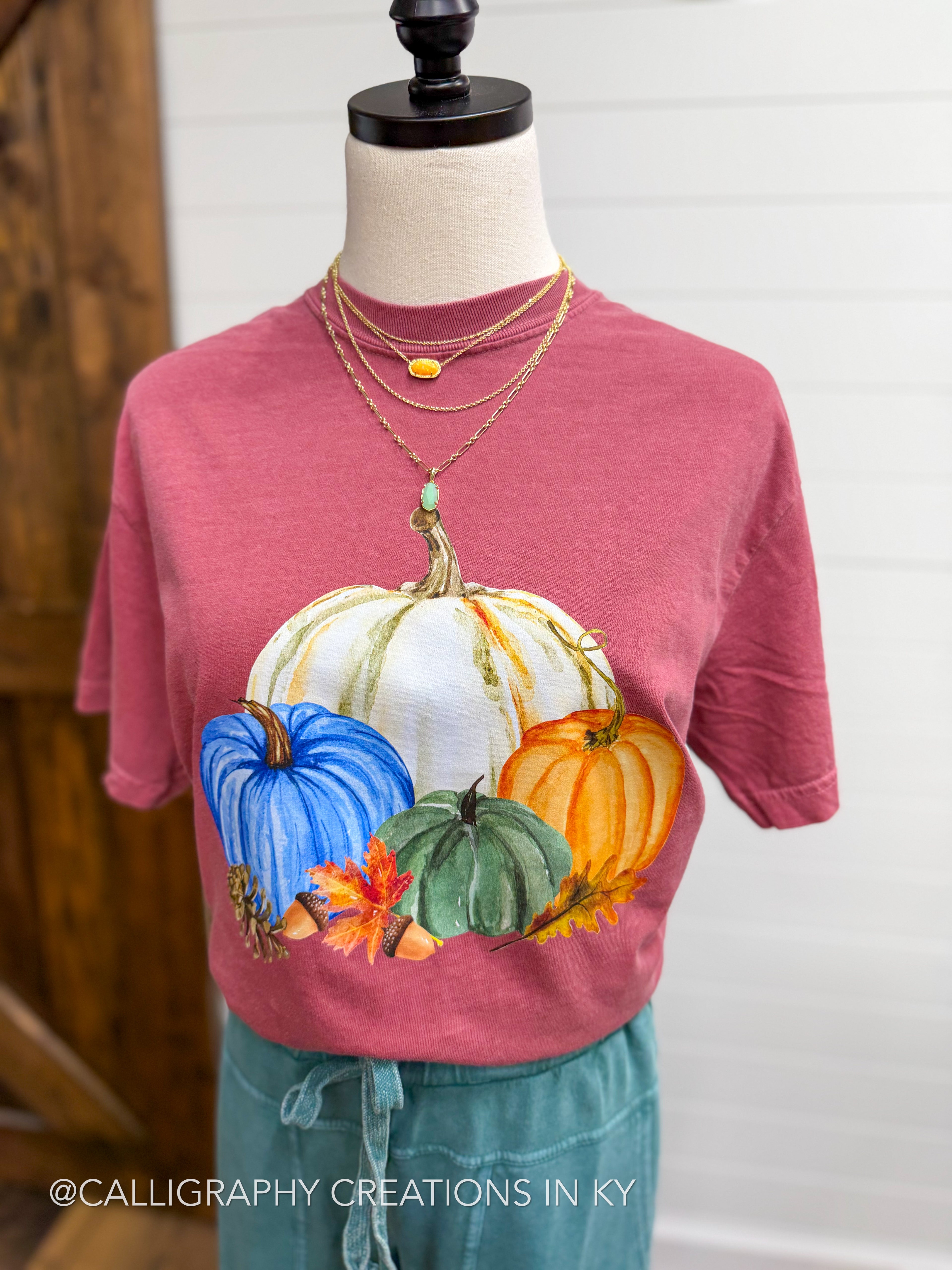 A dusty rose short-sleeve t-shirt displayed on a mannequin torso, featuring a colorful graphic of white, blue, green, and orange pumpkins with autumn leaves. The shirt is styled with layered gold necklaces and teal drawstring pants.