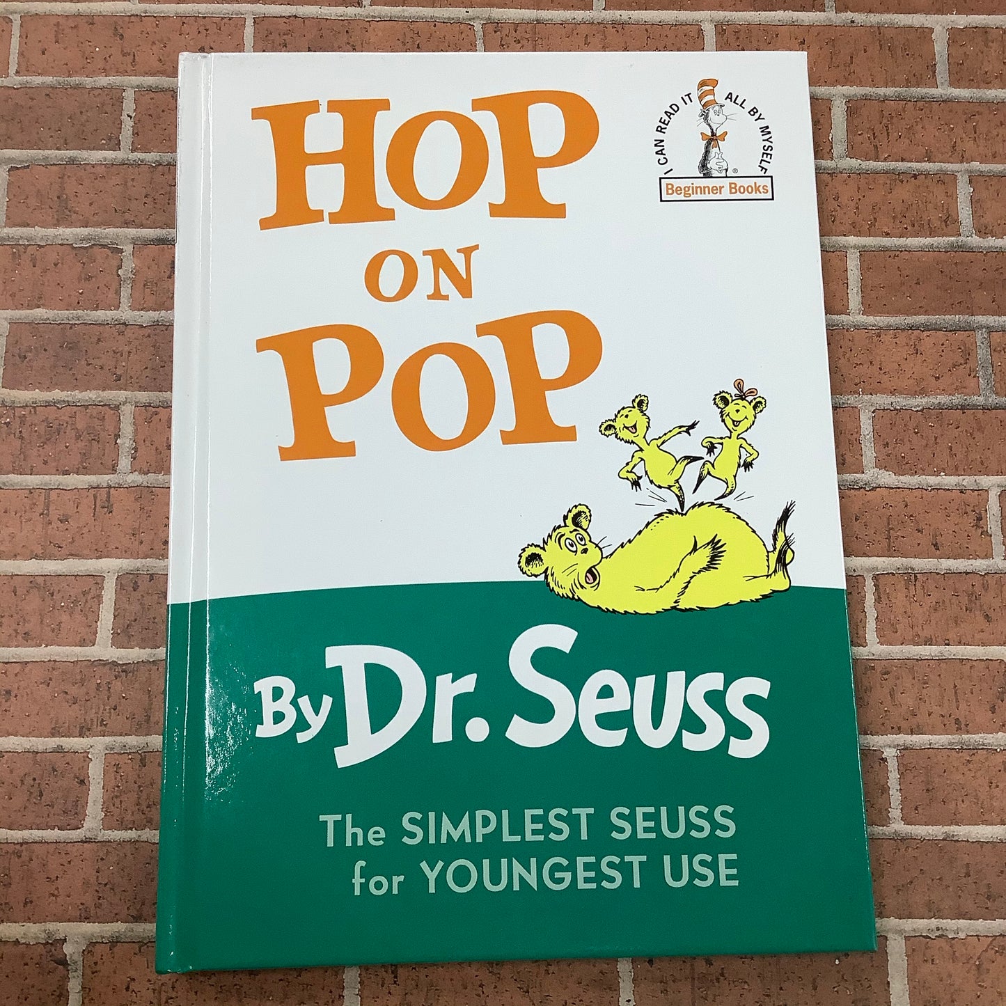 Dr. Seuss Hop on Pop Book