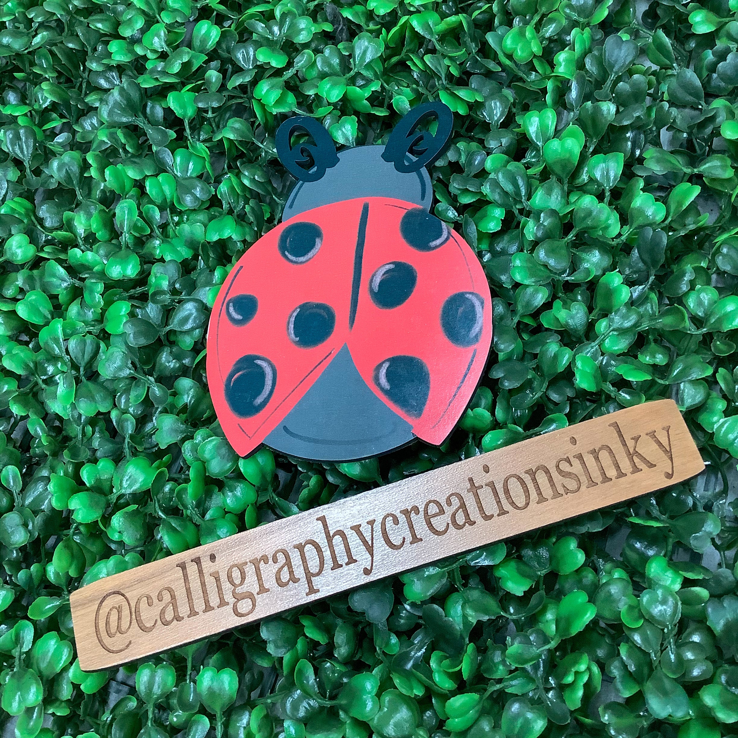 Ladybug Mini 5 inch Attachment *FINAL SALE*