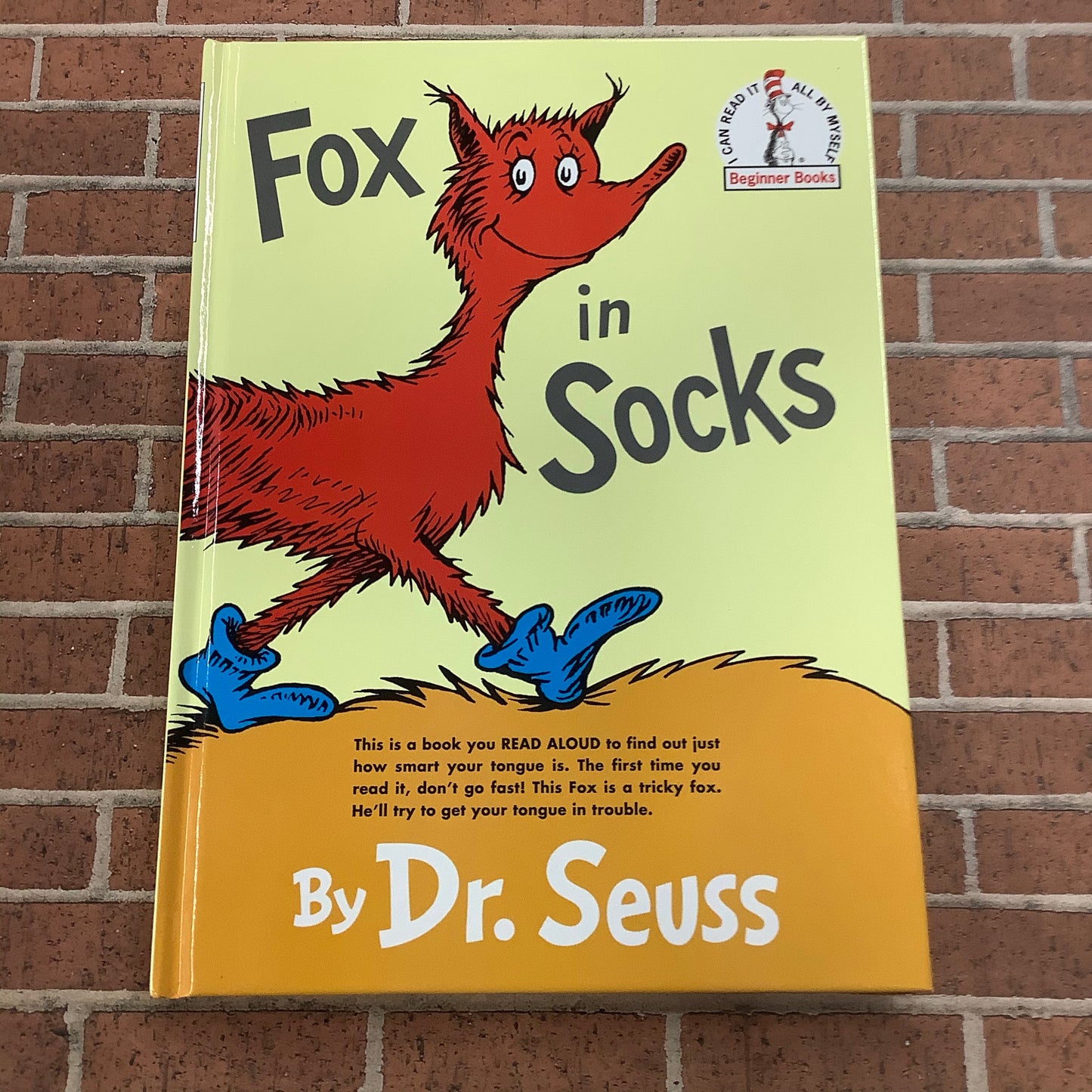 Dr. Seuss Fox in Socks Book