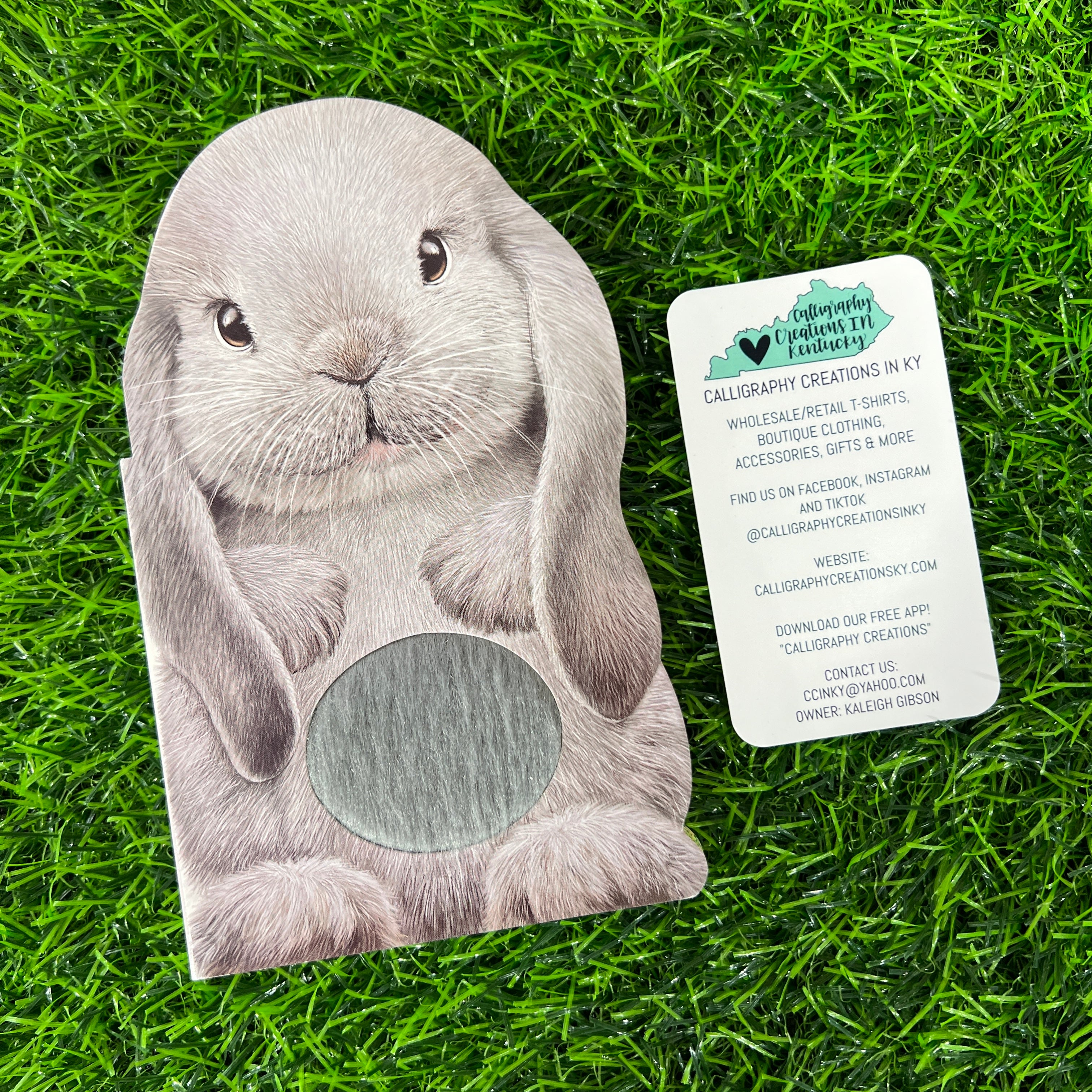 Furry Bunny Mini Book