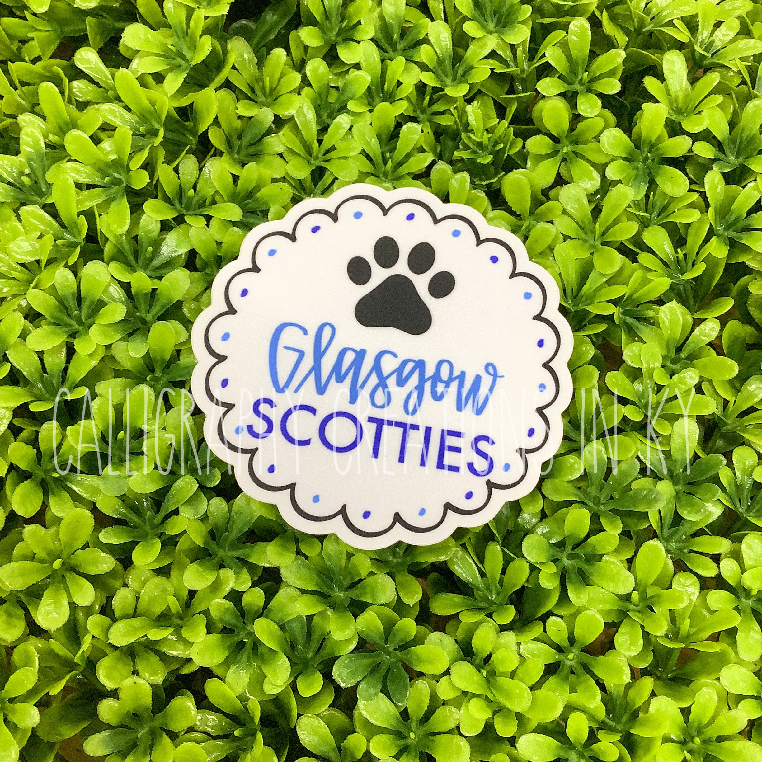 Glasgow Scotties Scallop Sticker